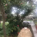 Ferienhaus House In Xanemo Karystos (Evia)